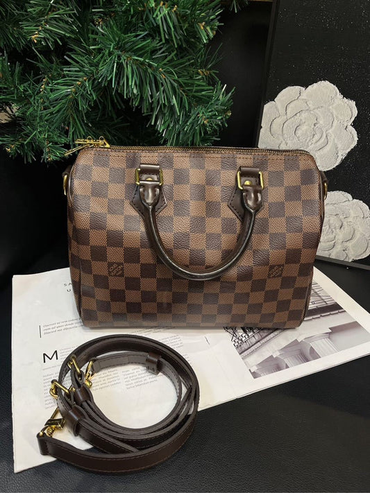 Louis Vuitton Damier Ebene Brown SP25 Crossbody Bag